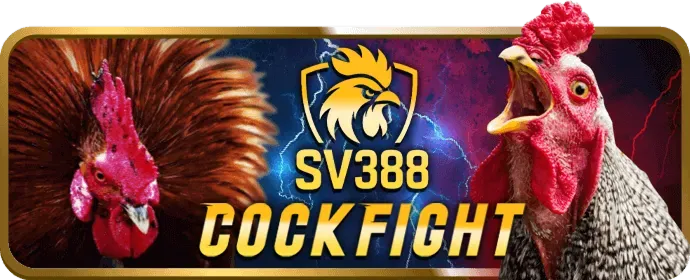 Hoàn Trả Hàng Ngày BD88 WIN
