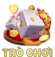 Phân tích dữ liệu và biểu đồ, không đặt cược theo cảm tính