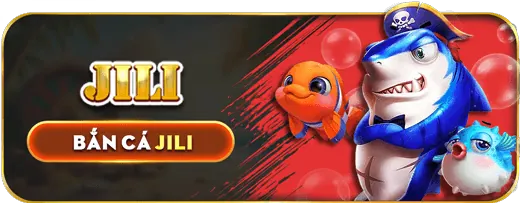 Đa dạng giải đấu và kèo cược bóng rổ tại BD88 Win